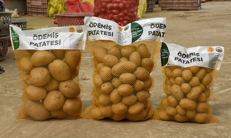 demiten hasat edilen altn rengi patatesler market raflarn sslyor