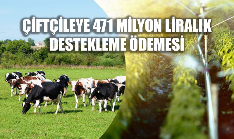 471 Milyon Liralk Tarmsal Destekleme demesi iftilerin Hesaplarnda