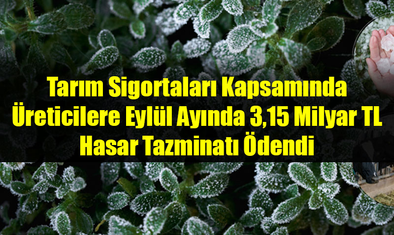 reticilere Eyll Aynda 3,15 Milyar TL Hasar Tazminat dendi