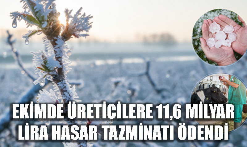 reticiye Destek Devam Ediyor: Ekim Aynda 11,6 Milyar TL Hasar Tazminat dendi