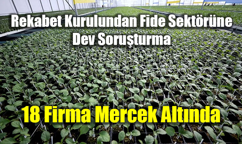 Rekabet Kurulundan Fide Sekt�r�ne Dev Soru�turma: 18 Firma Mercek Alt�nda