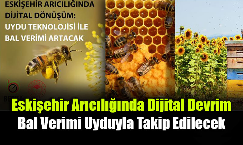 Eski�ehir Ar�c�l���nda Dijital Devrim: Bal Verimi Uyduyla Takip Edilecek
