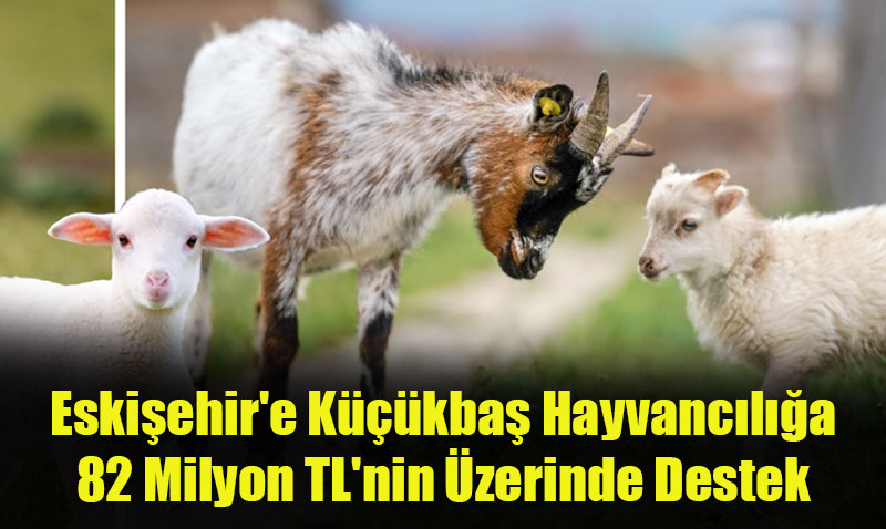 Eskiehir’de Kkba Hayvancla Byk Destek: 82 Milyon TL deme Yaplacak!