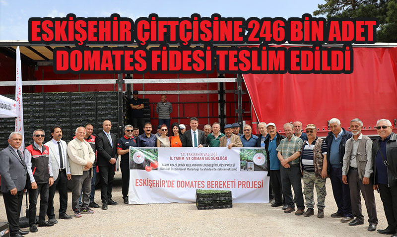 Eskiehir iftisine TAKE Projesiyle Domates Fidesi Destei
