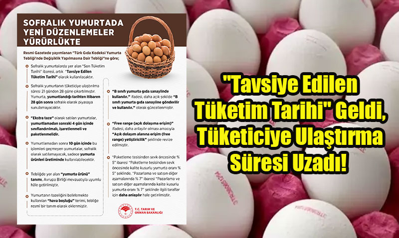 Sofralk Yumurtada Yeni Dnem