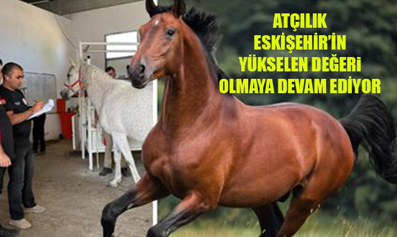 Atlk Eskiehir’in Ykselen Deeri Olmaya Devam Ediyor