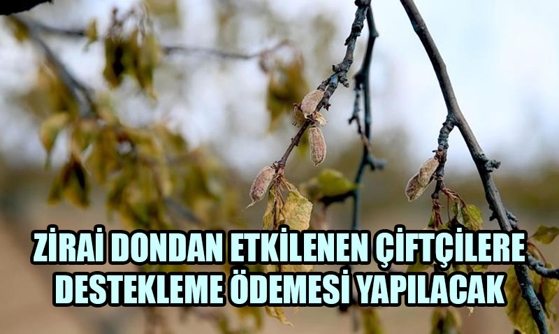 Zirai Dondan Etkilenen iftilere Destek demesi Yaplacak