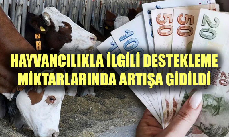 Hayvanclk Desteklerinde Arta Gidildi