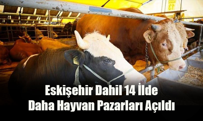 Eskiehir Dahil 14 lde Daha Hayvan Pazarlar Ald