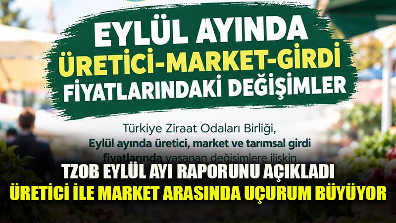 TZOB Eyl�l Raporunu A��klad�: Limonda �retici �le Market Aras�nda 7,3 Kat Fiyat Fark�