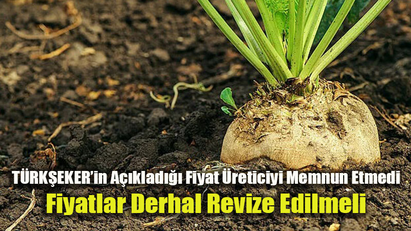 TZOB Genel Ba�kan� Sert ��k��: "�eker Pancar� Fiyat� �ift�iyi Tarladan Uzakla�t�r�yor!"