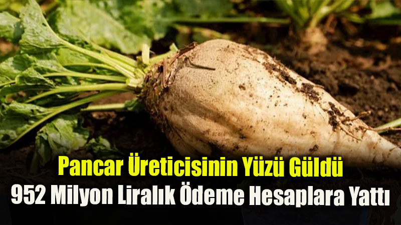 Pancar �reticisine Dev Destek: 952 Milyon Liral�k 5’inci Avans �demeleri Hesaplarda!