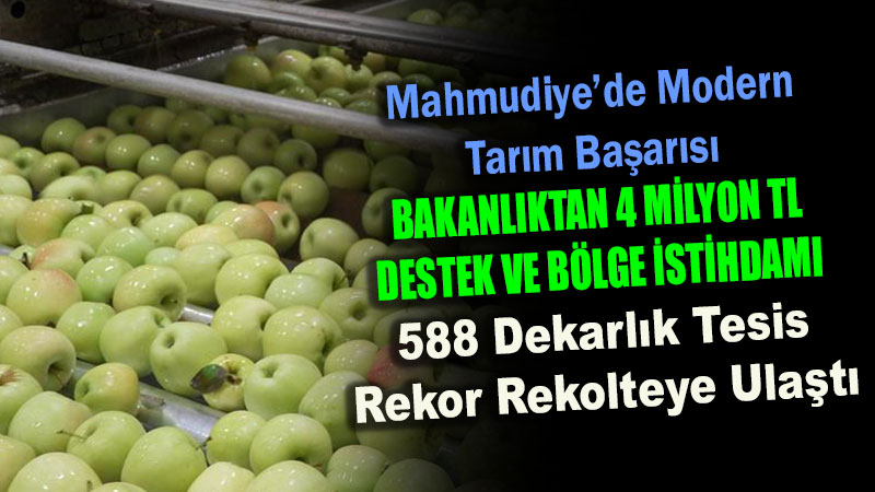 Eski�ehir�in Meyveleri Mahmudiye�den D�nyaya A��l�yor