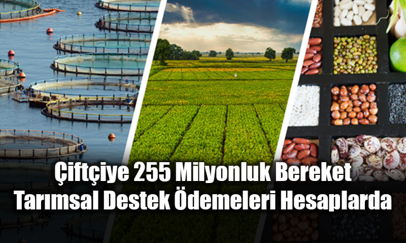�ift�iye 255 Milyonluk Bereket: Tar�msal Destek �demeleri Hesaplarda
