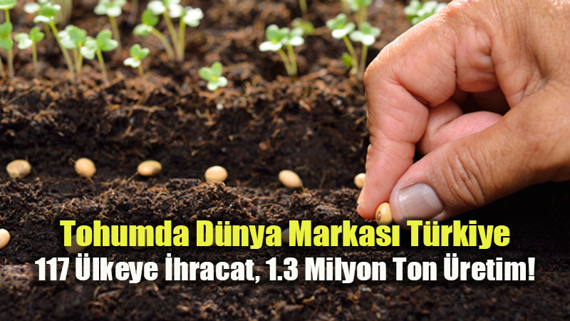 Tohumda D�nya Markas� T�rkiye: 117 �lkeye �hracat, 1.3 Milyon Ton �retim!
