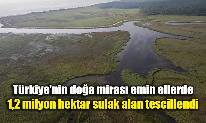 Bakan Yumakl�: "Sulak alanlar� korumak yar�nlar� korumakt�r"