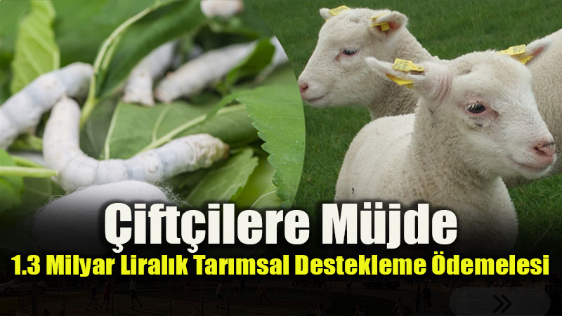 Bakan Yumakl� Duyurdu: 1 Milyar 363 Milyon TL’lik Tar�msal Destek Ba�lad�
