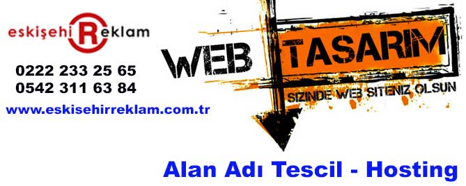 eskişehir web tasarım web sitesi alan adı tescil hosting
