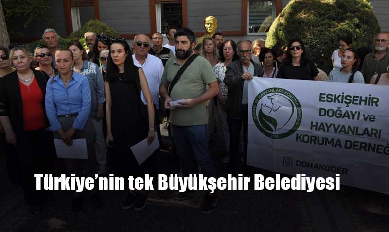 Hayvanseverlerden Eskiehir Bykehir Belediyesine tepki