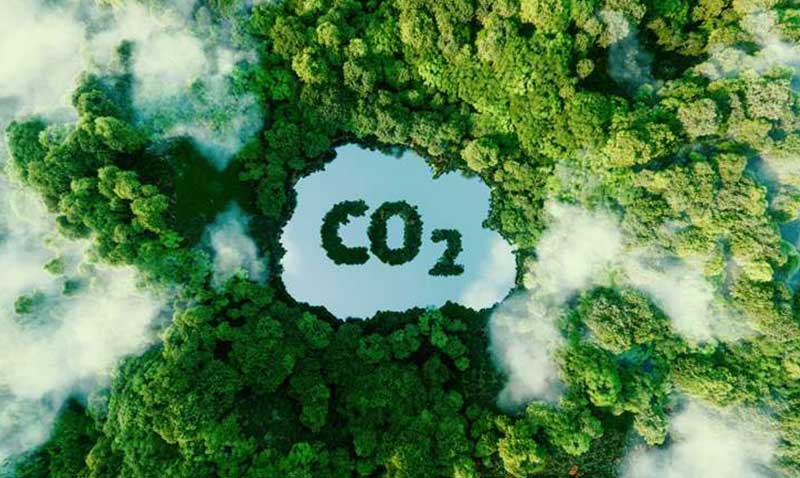 Karbon vergisi çevreci şirketlerin rekabet gücünü artıracak