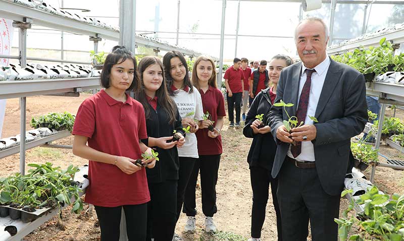 Sarcakaya’da ilekler, topraksz tarm ve su kltr teknii ile yetiecek
