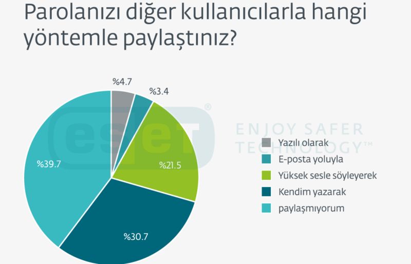 Netflix parolanızı neden kendinize saklamalısınız?
