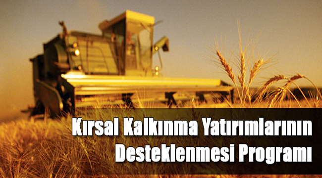 KIRSAL KALKINMA YATIRIMLARININ DESTEKLENMESİ PROGRAMI (KKYDP)