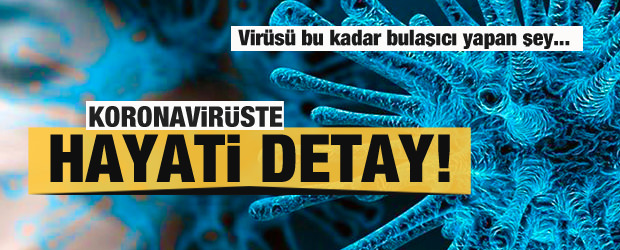 Koronavirüste hayati detay! Virüsü bu kadar bulaşıcı yapan şey ne?