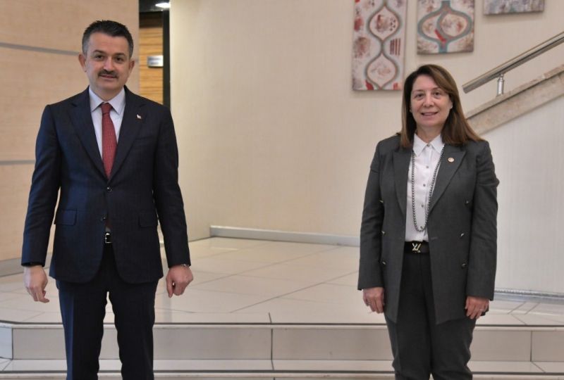 SULAMA SORUNUNA KALICI ÇÖZÜMLER GETİRİLİYOR