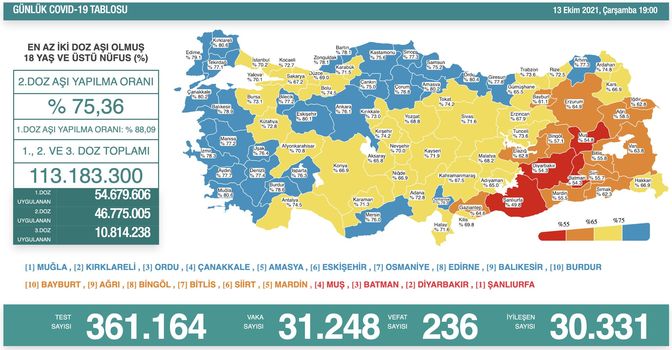 Koronavirüs salgınında yeni vaka sayısı 31 bin 248