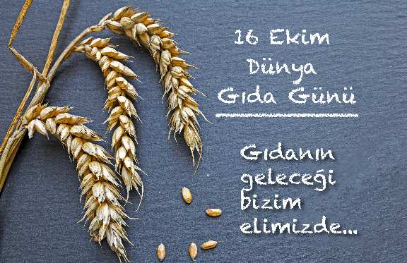 “Kanatlı eti sektörü geleceğe sağlam adımlarla hazırlanıyor”