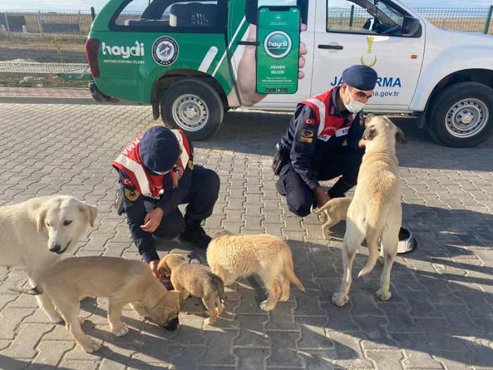 Jandarma; bir gün değil, her gün dostlarımızın yanındadır