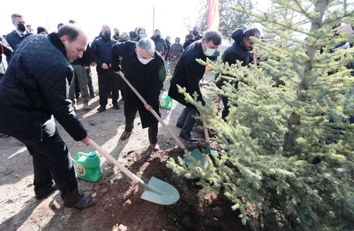 “Millî Ağaçlandırma Günü” Etkinliği Kapsamında Fidanlar Toprakla Buluştu“