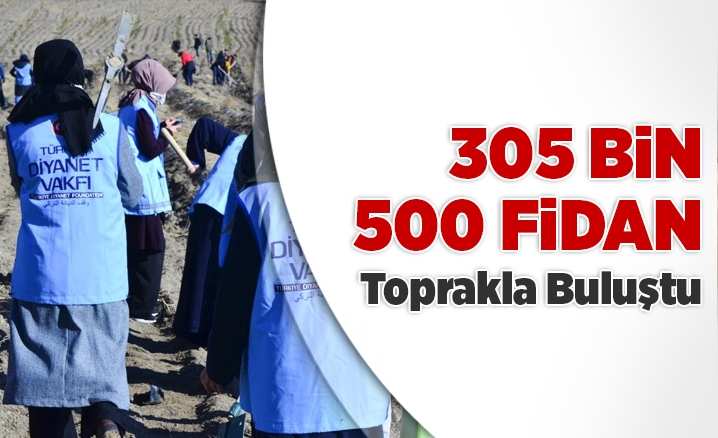 Türkiye Diyanet Vakfı 305 bin 500 fidan dikti