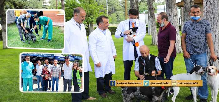 KEDİ VE KÖPEK SAHİPLERİNİN DİKKATİNE!