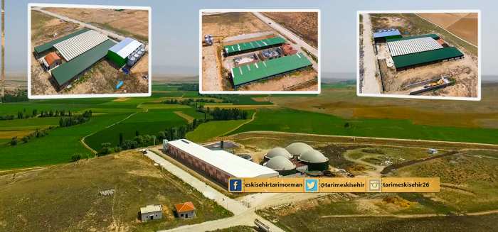 Hayvancılık Yatırımları İçin BÜYÜK FIRSAT