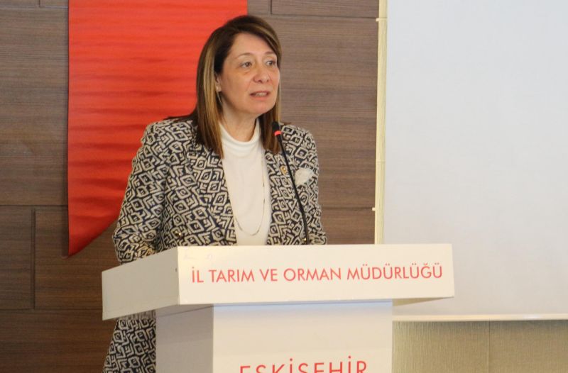 GÜNAY’DAN SULAMA PROJELERİ HAKKINDA AÇIKLAMA