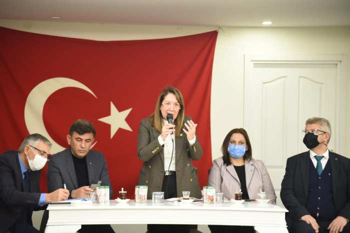 PROF. GÜNAY ODUNPAZARI ORHANGAZİ’DE HEMŞERİ BULUŞMASINDA