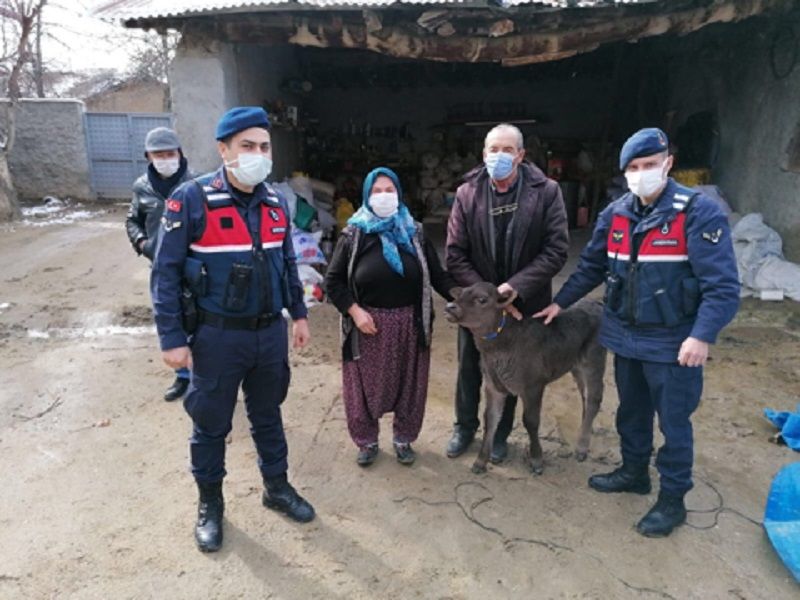 Hayvan Hırsızları Gürcistan’a Kaçarken Yakalandı