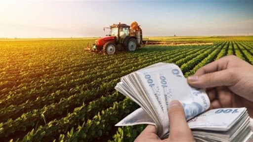 2020 Yılı Yem Bitkileri Destekleme Ödemesi Yeniden Askıda