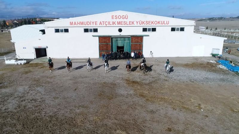 Mahmudiye Atçılık MYO’da Yeni Program Açılıyor