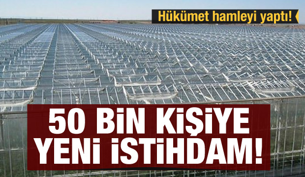 Hükümet hamleyi yaptı! 50 bin kişiye yeni istihdam