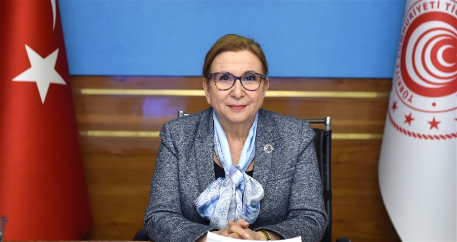 Gümrük Birliği’nin güncellenmesini AB ülkelerindeki iş dünyası da destekliyor