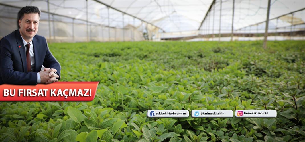 Kırsal Kalkınma Yatırımlarının Desteklenmesi Programı Başvuru Süreleri Uzatıldı