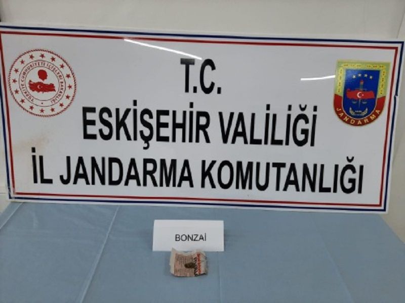 Çiftelerde Bir Kişi Uyuşturucu Madde İle Yakalandı