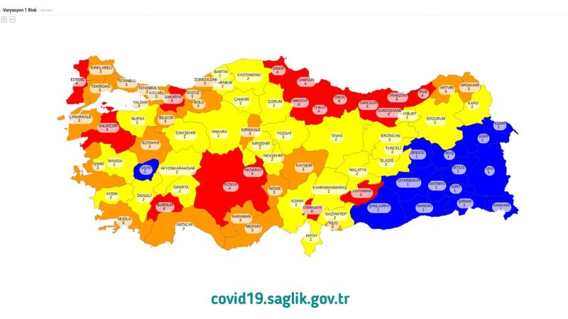 81 ilin koronavirüs risk haritası
