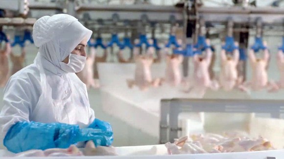 Beyaz Et Sektöründe Kadın İstihdam Oranı Türkiye Ortalamasının Üzerinde