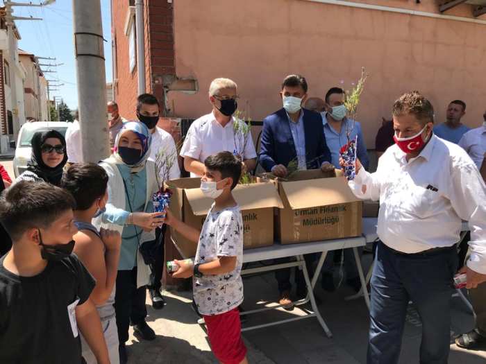 AK Odunpazarı’ndan fidan dağıtımı
