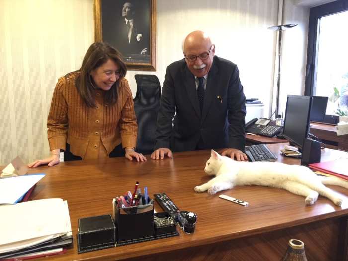 HAYVAN HAKLARI YASASI MECLİSE GELİYOR