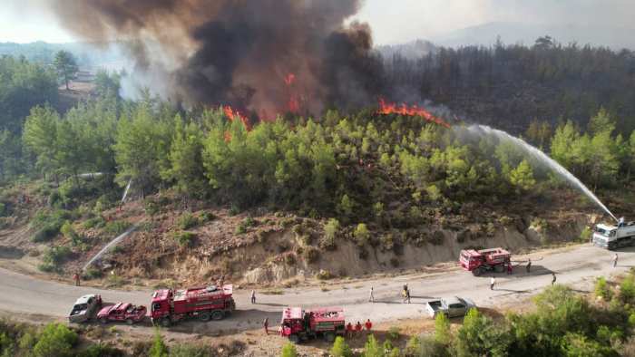 Orman Yangınları Çalıştayda Masaya Yatırılacak